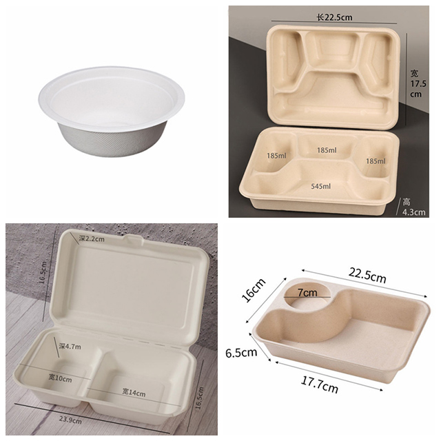 paper pulp packaging (5)