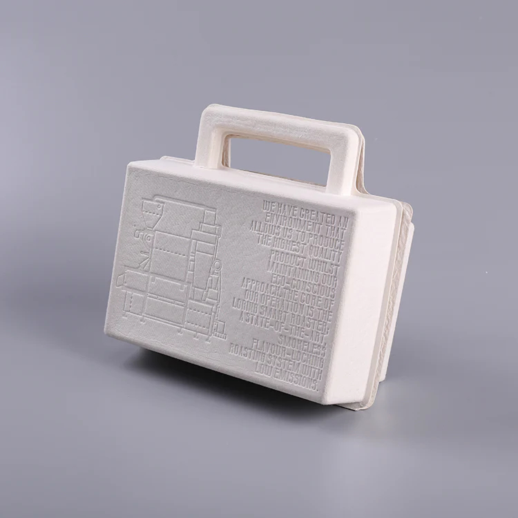 Paper Pulp Molded Cosmetic Skincare Packaging Box​ With Paper Handle