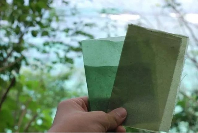 molded pulp packaging manufacturers (18)