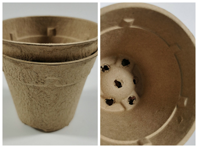 paper pulp packaging (2)