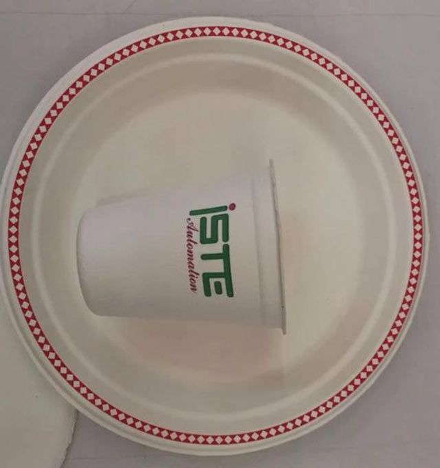 molded pulp suppliers (17)