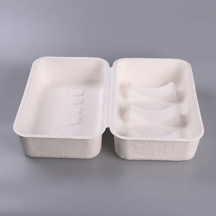 Custom Molded Pulp Packaging for Camera Equipment 