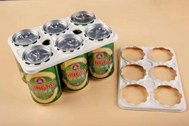 molded pulp packaging manufacturers (10)