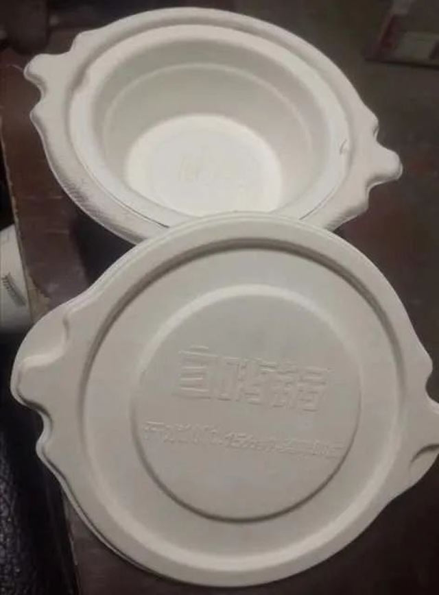 molded pulp manufacturers (2)