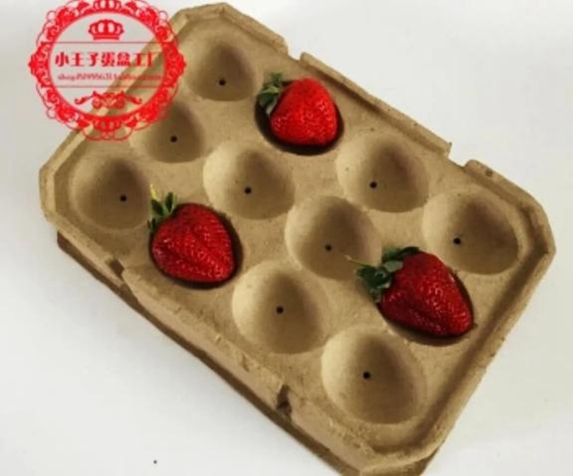 pulp tray manufacturer (43)