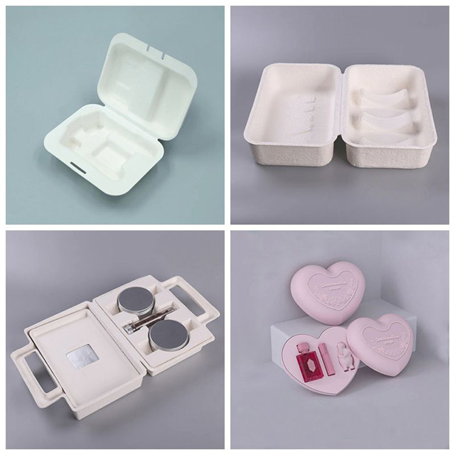 paper pulp packaging (1)