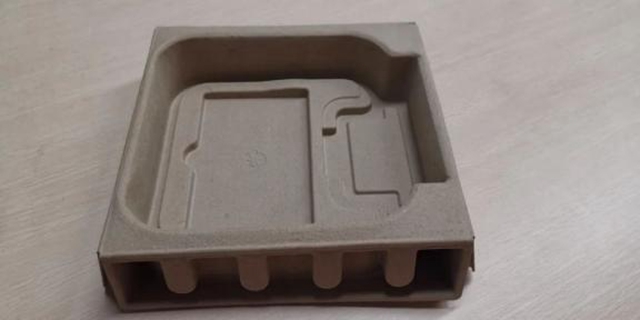 pulp trays manufacturers (4)