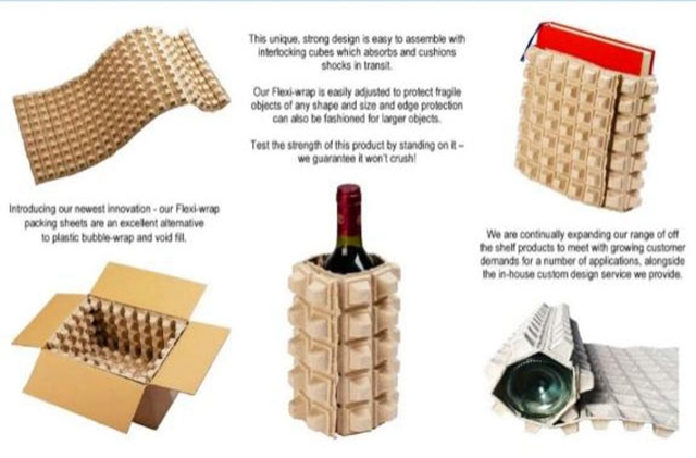 pulp trays manufacturers (2)