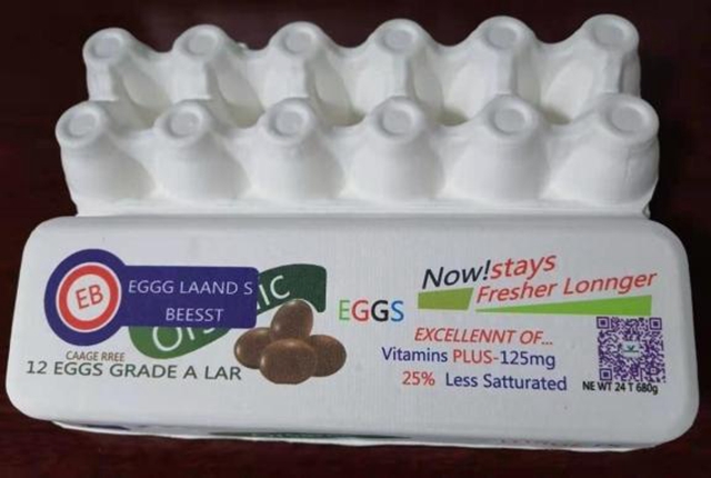 molded pulp suppliers (6)