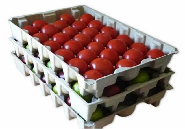 pulp tray manufacturer (44)