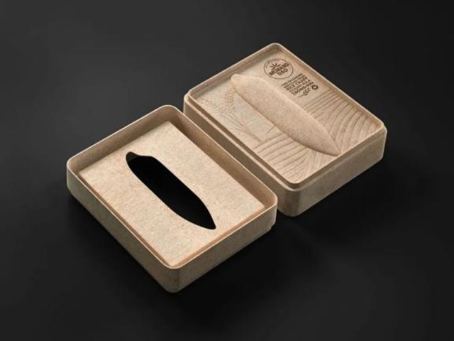 pulp tray manufacturer (6)