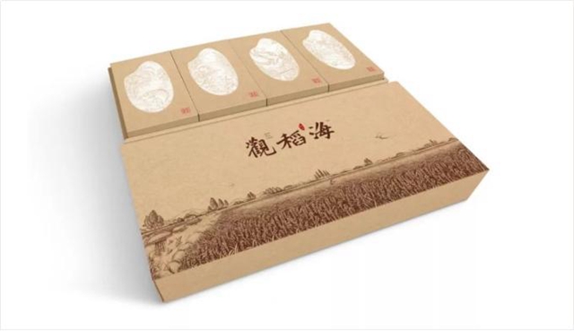 pulp trays manufacturers (37)