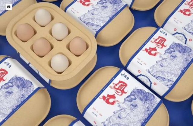 pulp tray manufacturer (27)