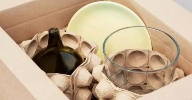 pulp trays manufacturers (1)