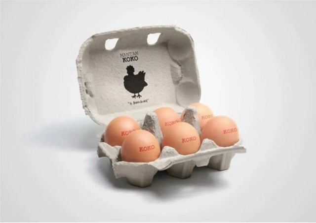 pulp tray manufacturer (11)